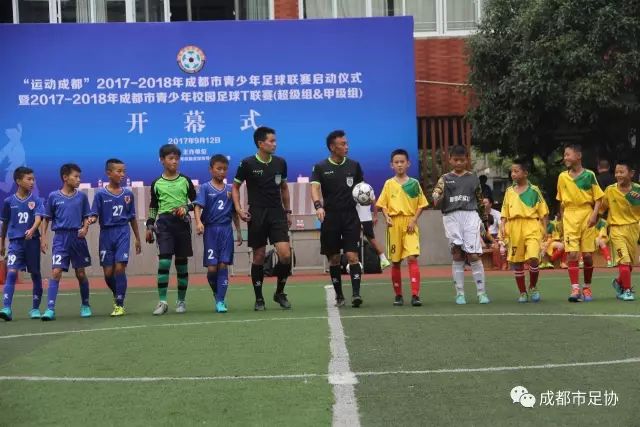 曼联面临伤病困扰 三名球员退出国家队